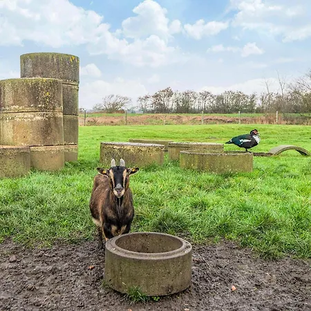 Ferienhaus 4 Person In Højer