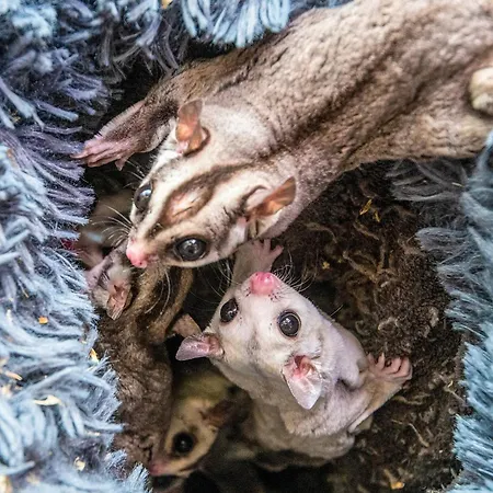 4 Person In * Højer