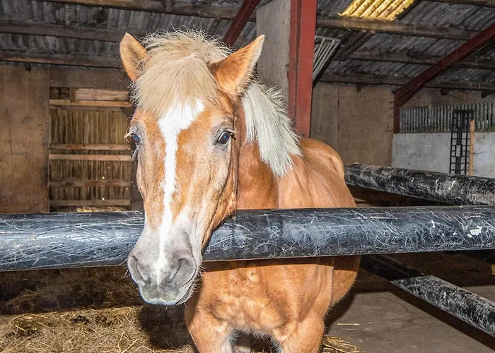 Ferienhaus 4 Person In *