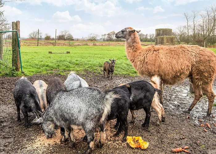 Ferienhaus 4 Person In