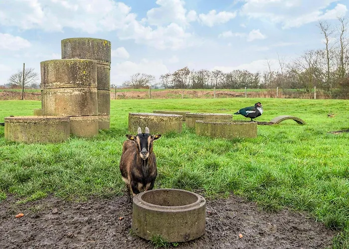 Ferienhaus 4 Person In Højer